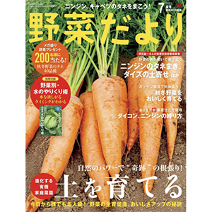 【メディア掲載】野菜だより7月夏号に掲載されました